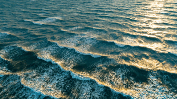 Aallokko ilta auringon valossa